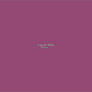 Example Product 8281