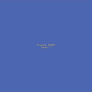 Example Product 8289