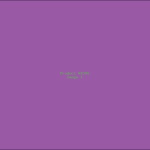 Example Product 8306