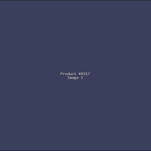 Example Product 8317