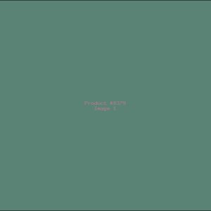 Example Product 8379