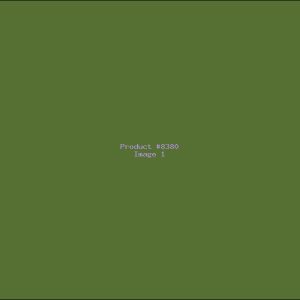 Example Product 8380
