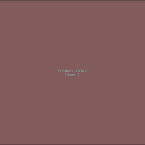 Example Product 8383