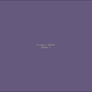 Example Product 8400