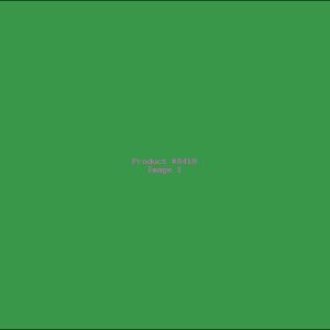 Example Product 8419