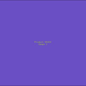 Example Product 8422