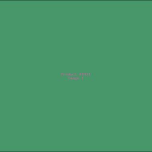 Example Product 8431