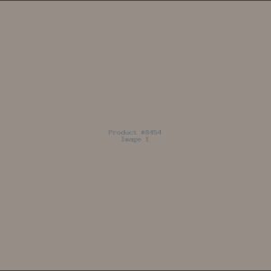 Example Product 8454