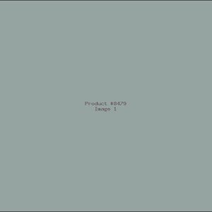 Example Product 8479