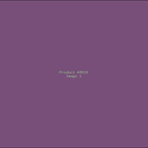 Example Product 8518