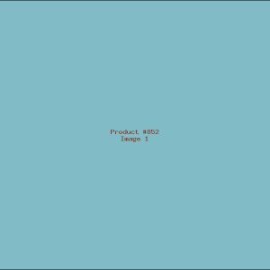 Example Product 852