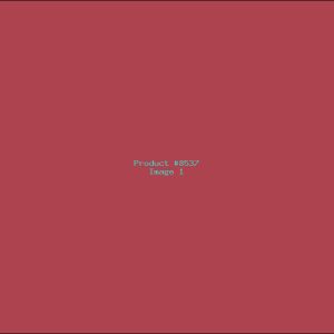 Example Product 8537