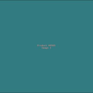 Example Product 8565