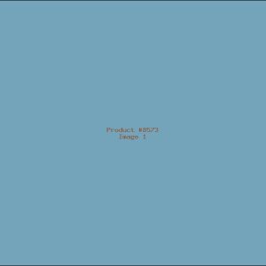 Example Product 8573