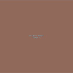 Example Product 8584