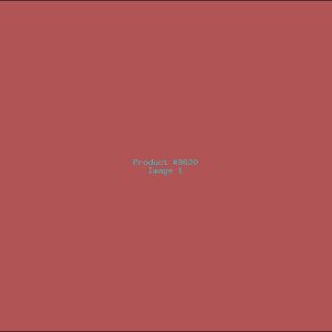 Example Product 8620