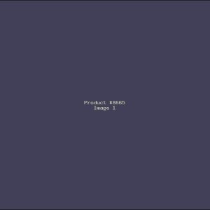 Example Product 8665