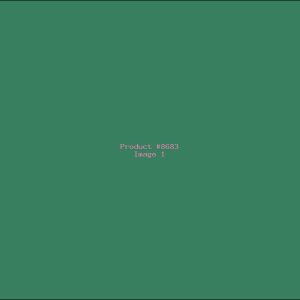 Example Product 8683