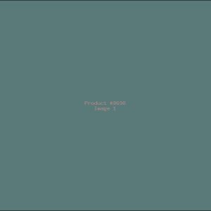 Example Product 8698