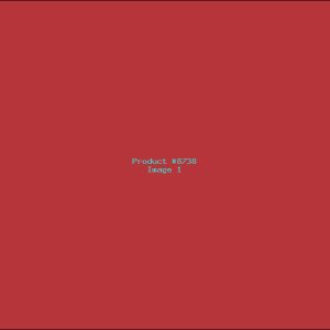 Example Product 8738