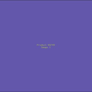 Example Product 8749