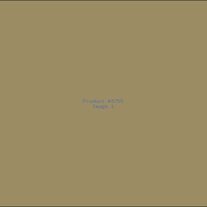 Example Product 8755