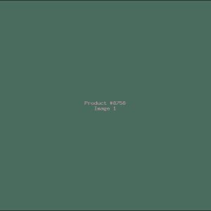 Example Product 8758