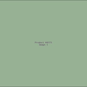 Example Product 8773