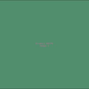 Example Product 8776