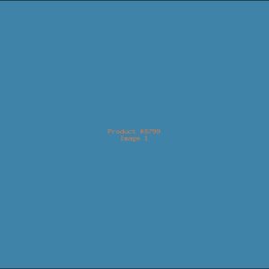 Example Product 8799