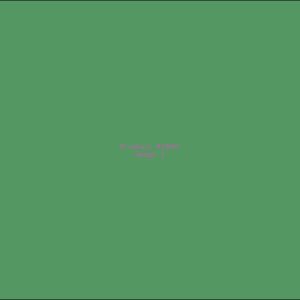 Example Product 8800