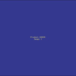 Example Product 8808