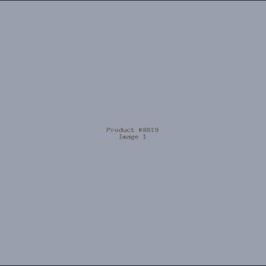 Example Product 8819