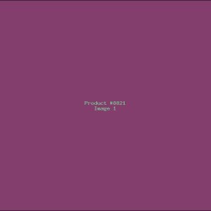 Example Product 8821