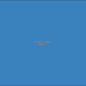 Example Product 8833