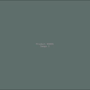 Example Product 8855