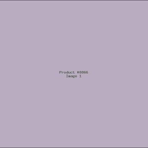 Example Product 8866