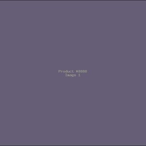 Example Product 8888