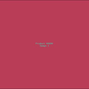 Example Product 8890