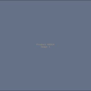 Example Product 8914