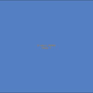 Example Product 8969