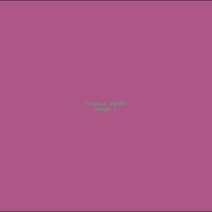 Example Product 8982