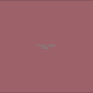 Example Product 8988