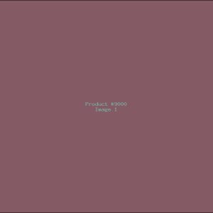 Example Product 9000