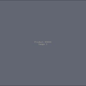 Example Product 9004