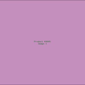 Example Product 9005