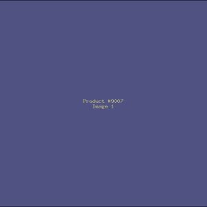 Example Product 9007