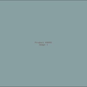 Example Product 9055