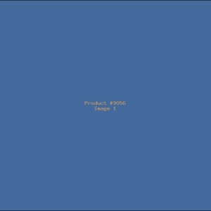 Example Product 9056