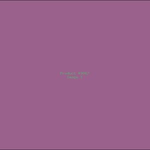 Example Product 9067